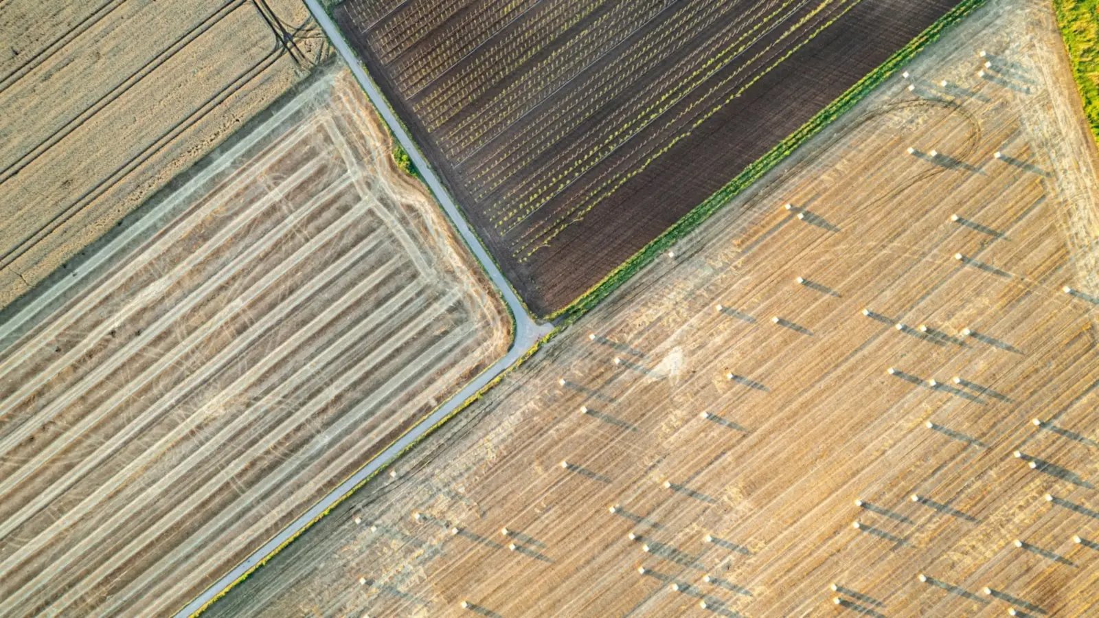 Top-down aerial view of farmland plots, like the imagery captured on a drone photogrammetry flight